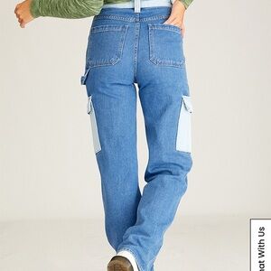 PacSun Colorblock Boyfriend Cargo Carpenter Pants Sz 26